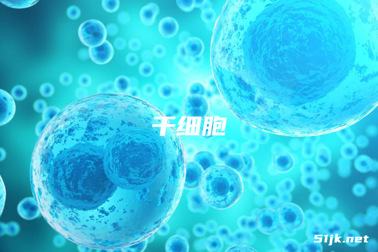 企业高管福利-干细胞与免疫细胞疗法